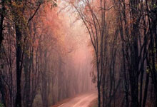 关于西甲豪门经历起伏，球队实力获得质的提升的信息